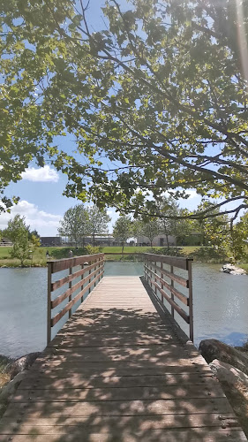 Comentarii opinii despre Λίμνη Μουσών