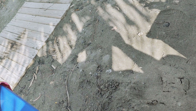 Comentarii opinii despre Μπαταρόλας