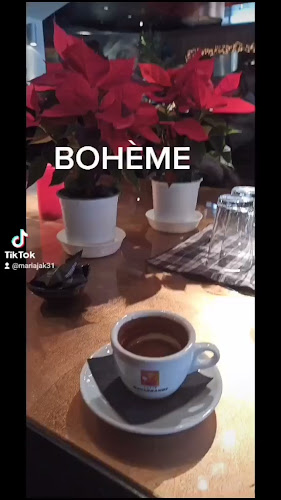 Comentarii opinii despre Bohème