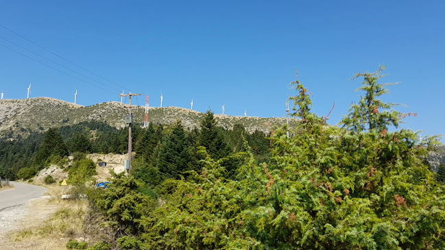 Πλάτανος 300 22