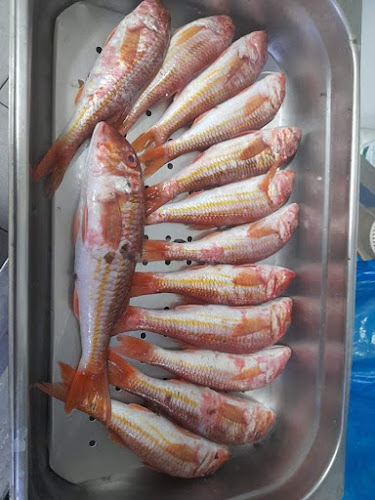 Opinii despre Ψαροταβέρνα Κυκλάδες în Σίνδος - Γαστρονομία και φιλοξενία