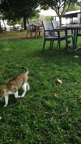 Comentarii opinii despre Το Κιόσκι