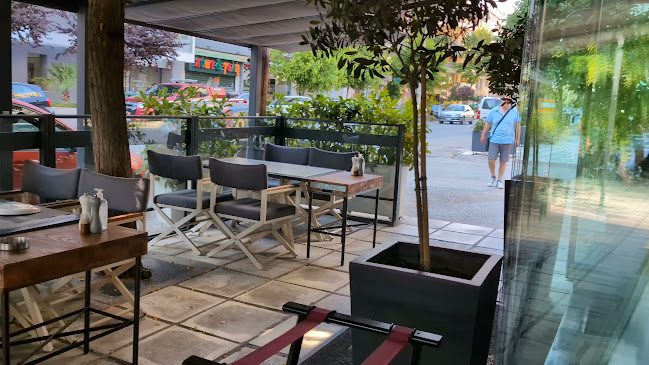 Βρεγμένη Γάτα