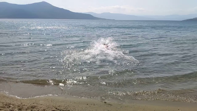 Opinii despre Το Λιμανάκι Πελασγία în Παραλία Πελασγίας - Γαστρονομία και φιλοξενία