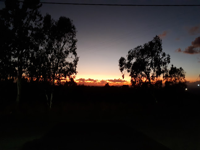 Opinii despre Εστιατόριο Καμπινάρα în Πύργος Διρού - Γαστρονομία και φιλοξενία