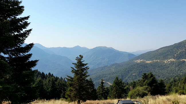 Ανεμοδαρμένο Διάσελο