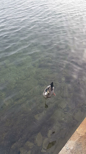 Hook - Γαστρονομία και φιλοξενία