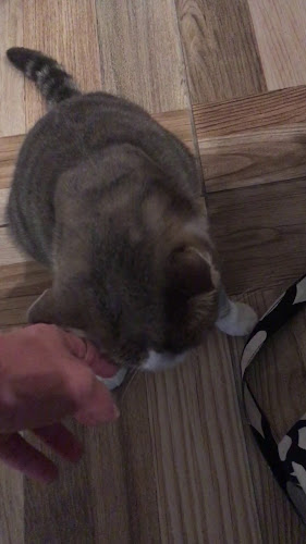 Γεωρ. Αβέρωφ 5, Κως 853 00