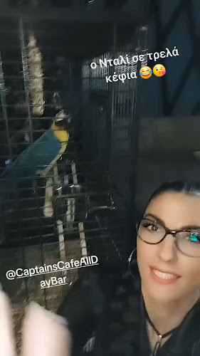 Captains All Day Bar