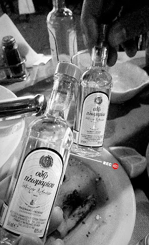 Το Λιμανάκι Πελασγία - Παραλία Πελασγίας