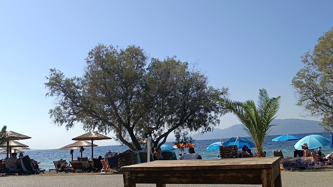 Cactus The Sunny Bar