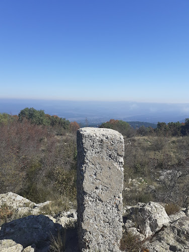 Comentarii opinii despre Ταβέρνα *Ο Σίμος*