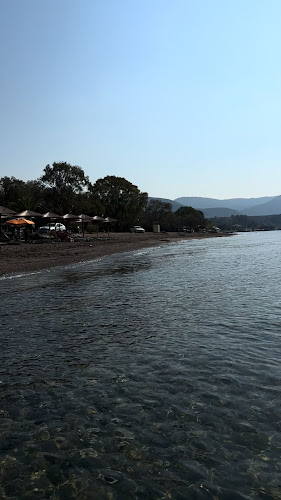 Φάρος, Αρκίτσα 352 00