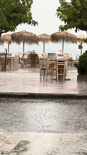 Αχινός - Ναύπακτος