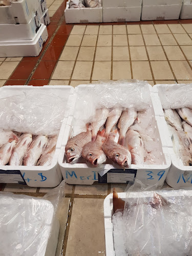 ΣΥΝΟΔΙΝΟΣ ΚΩΝΣΤΑΝΤΙΝΟΣ