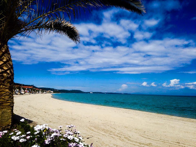 Mougre - Lounge Bar & Food - Πολύχρονο