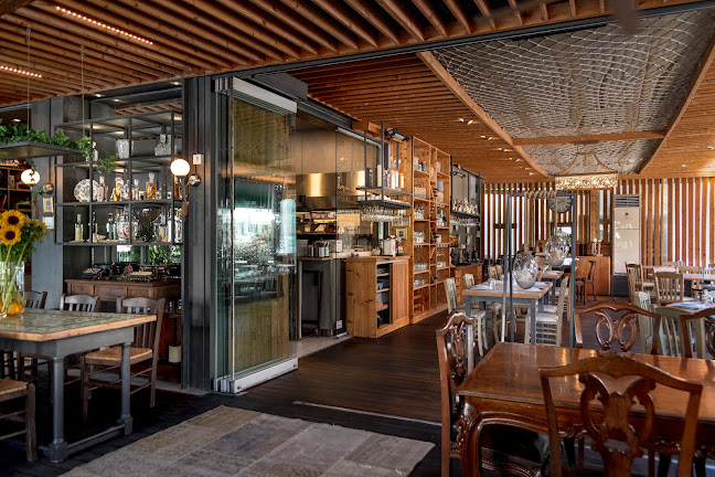 ΙΩΛΚΟΣ - Γεύσεις Θάλασσας