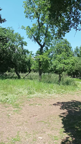 Opinii despre Το Ξύλινο în Αλμυρός - Γαστρονομία και φιλοξενία