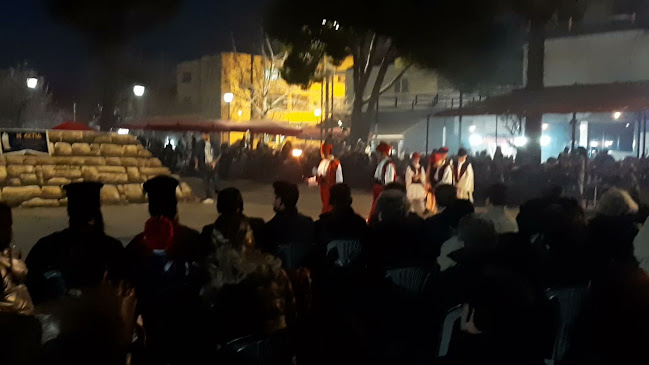 Νικονοστιμιες Ανδραβίδα Ηλείας