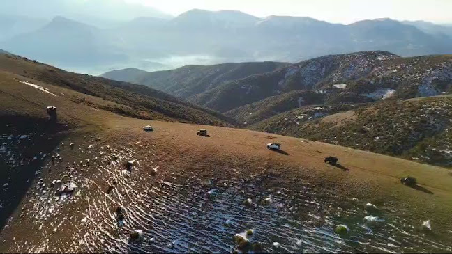 Ταβέρνα Αντώνης και Πόλυ