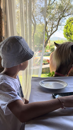 Opinii despre Αγρόκτημα Πλατανόρεμα în Μεγάλη Παναγία - Γαστρονομία και φιλοξενία