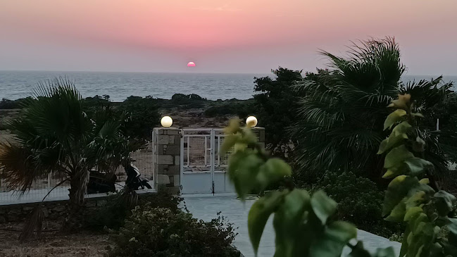 Opinii despre Taverne Kedros în Κάρπαθος - Γαστρονομία και φιλοξενία