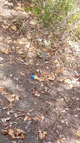 Φαράγγι Ενιπέα, Λιτόχωρο 602 00