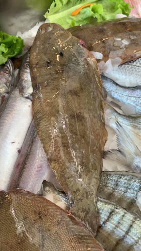 ΣΤΕΦΑΝΟΣ Ψαροταβέρνα-Ουζερί - Νέοι Επιβάτες