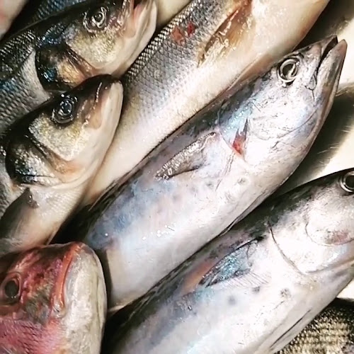 ΑΜΑΡΥΛΛΙΣ - Νέα Ηράκλεια