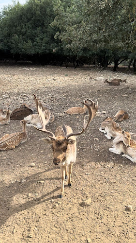 Αγρόκτημα Παπάκια - Καλαμάτα