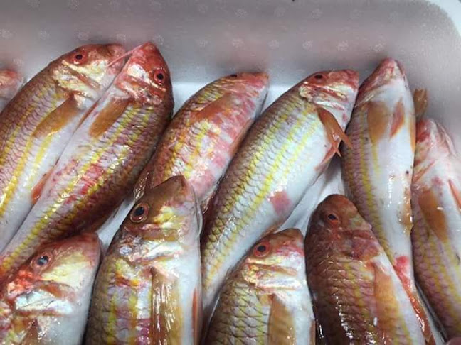 Opinii despre Ψαροταβέρνα Κυκλάδες în Σίνδος - Γαστρονομία και φιλοξενία