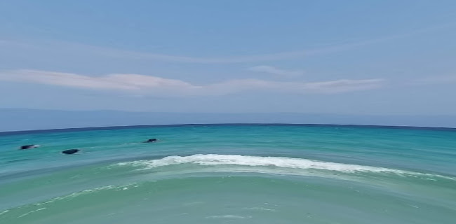 Ohana Waves Beach Bar