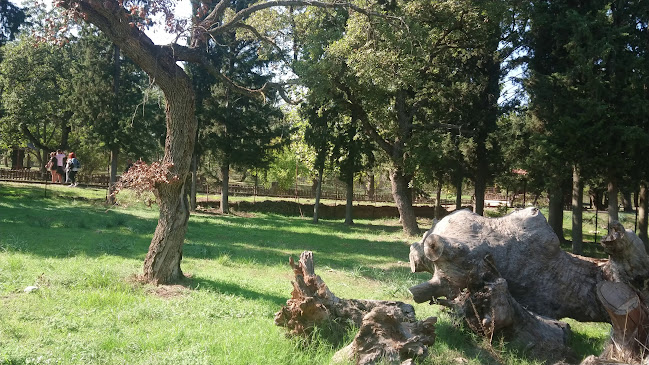 Αρχοντικό Στο Κουρί - Αλμυρός