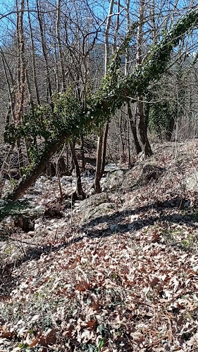 Ταβέρνα Το Σπίτι Του Ψαρά - Γαστρονομία και φιλοξενία