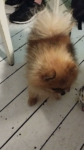 La Brasserie - Ηράκλειο