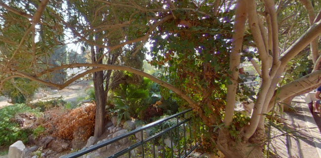 Select Restaurant Cafe