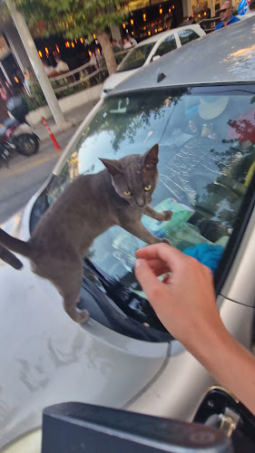 Opinii despre Greek Stories în Ρόδος - Γαστρονομία και φιλοξενία