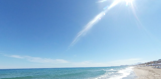 Cactus - Γαστρονομία και φιλοξενία