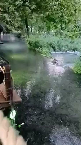 Opinii despre Amal în Δράμα - Γαστρονομία και φιλοξενία