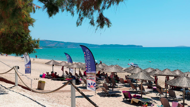 Comentarii opinii despre almyrikia Fish Tavern Cafe Bar