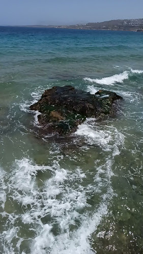 Opinii despre Ντεμεκ în Χανιά - Γαστρονομία και φιλοξενία