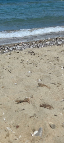 IONIO BLUE - Μπρίνια