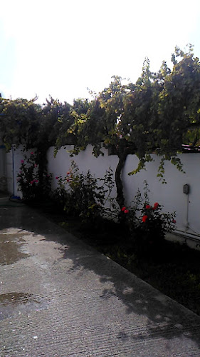 Sunlight Studios Restaurant & Bar! - Θεολόγος