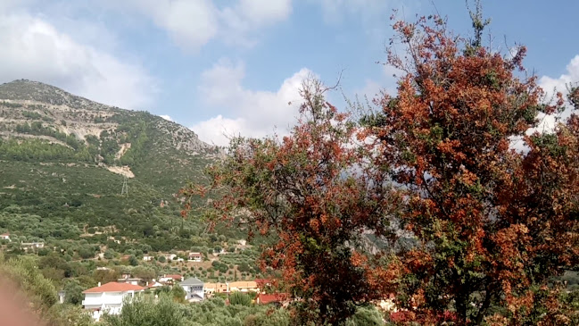 Αρτοποιειο Τσιρώνης