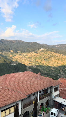 Τοσίτσα 10, Μέτσοβο 442 00