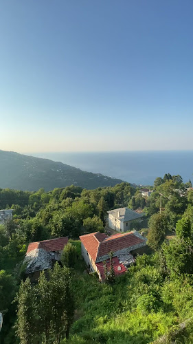 Ταβέρνα Δροσιά