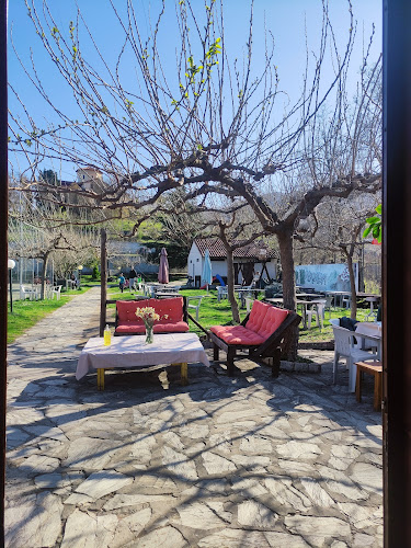 Comentarii opinii despre Το Στέκι Του Αρκούδου