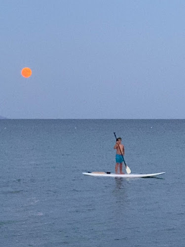 Φάρος - Γαστρονομία και φιλοξενία