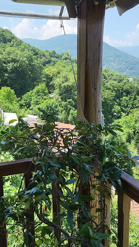 Opinii despre Ταβέρνα Δροσιά în Μούρεσι - Γαστρονομία και φιλοξενία