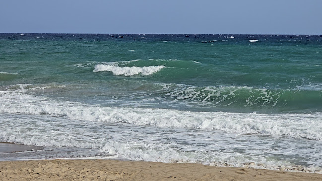 Cactus - Ρέθυμνο